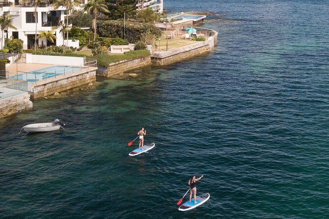 Stand Up Paddle Board Hire - 2 Hours - What to Expect