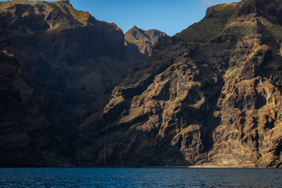 Tenerife: Teide National Park and Dolphins Sailboat Tour - Key Points