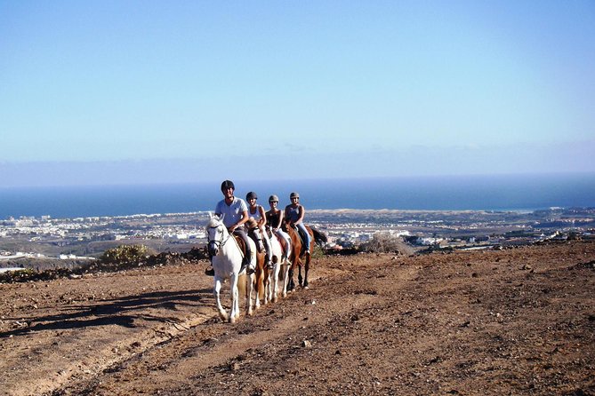 The Best Horse Riding Experience in Gran Canaria (2 Hours) - Key Points