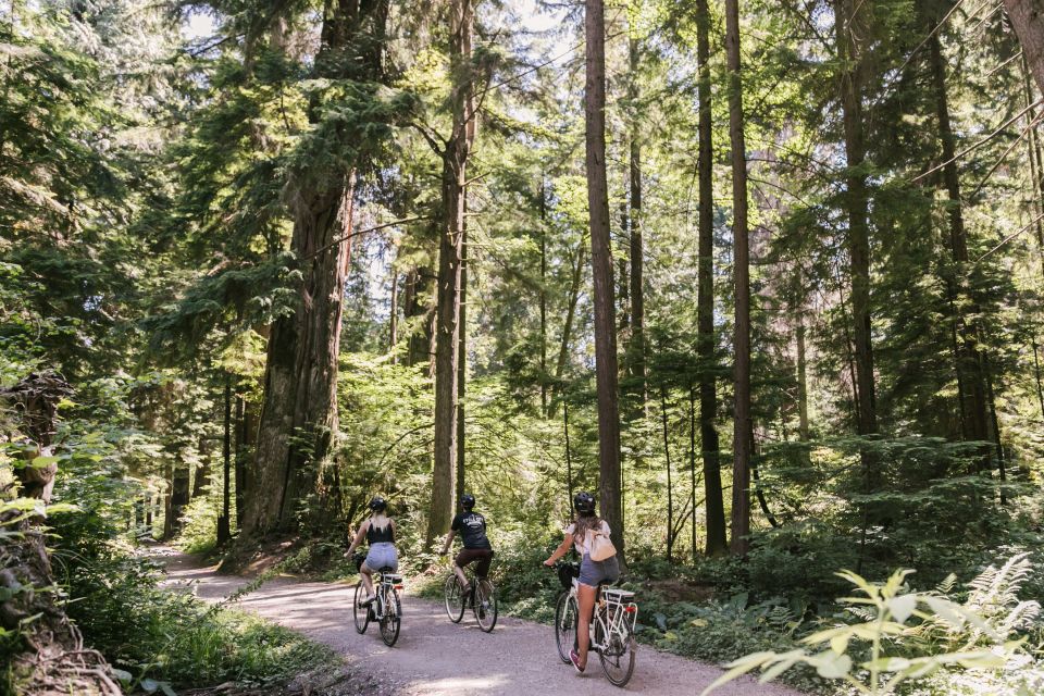 Vancouver: Stanley Park Bicycle Tour - Key Points