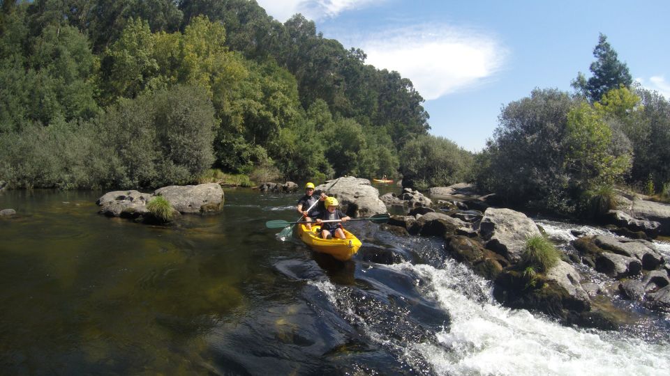 Viana Do Castelo: Kayak Tour at Lima River - Key Points