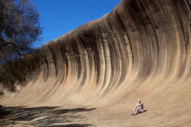 Wave Rock and Pinnacles Air & Ground Tour - Key Points