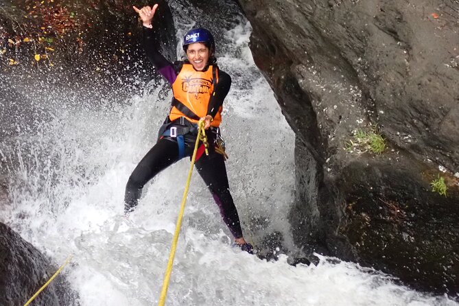 World Heritage Rainforest Canyoning Experience - Key Points