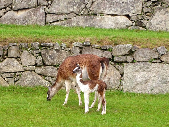 2-Day Private Tour to Machu Picchu From Cusco