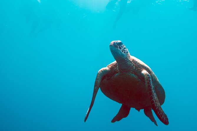 3 Day & 2 Night Whitsunday Islands Maxi Sailing Adventure on Broomstick - Life On Board Broomstick