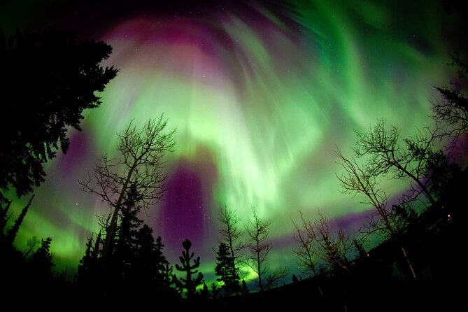 3 Days Tour Fall Color in Yukon From Whitehorse