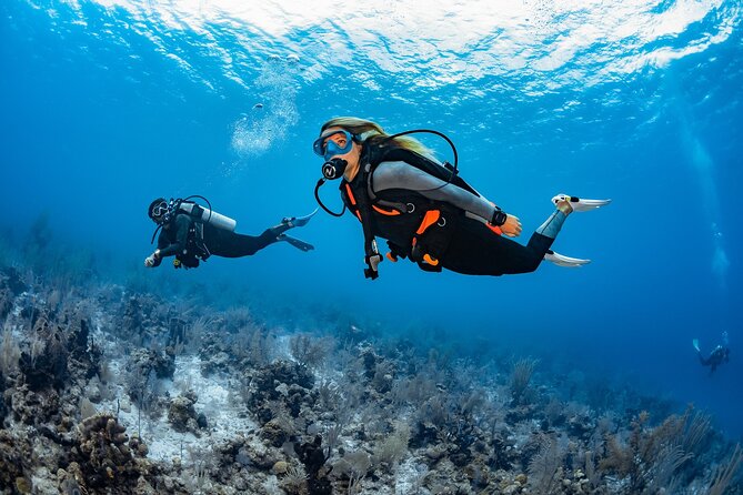 3-Hour Guided PADI Scuba Diving Experience in Tenerife