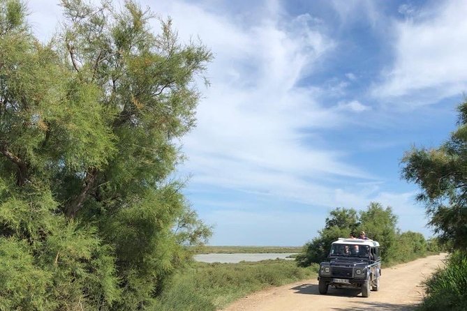 4x4 Camargue Safari 4h - Departure From Arles - Tour Overview and Details