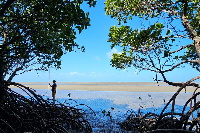 Aboriginal Fishing & Beach Day Tour+ Daintree Crocodile Cruise - Tour Highlights and Experience