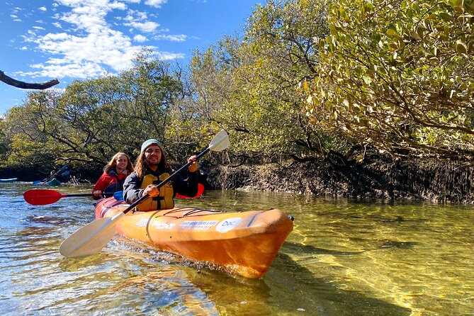 Adelaide Dolphin Sanctuary Mangroves Kayaking Tour - Tour Highlights and Features