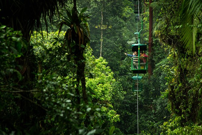 AERIAL TRAM TOUR - HALF DAY PASS Rainforest Adventures Braulio Ca - Tour Details