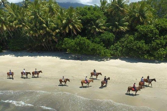 Afternoon Beach Horse Ride in Cape Tribulation