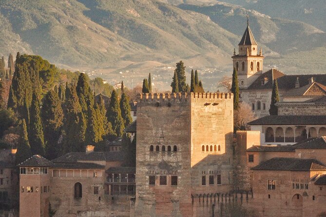 Alhambra Private Tour & Nazaries Palaces From Seville With Pickup - Tour Description