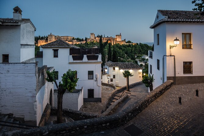 Alhambra With Nazaries Palaces Private Tour