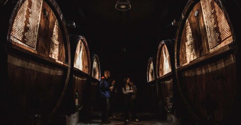 Alsace: Guided Wine Tasting and Cellar Visit