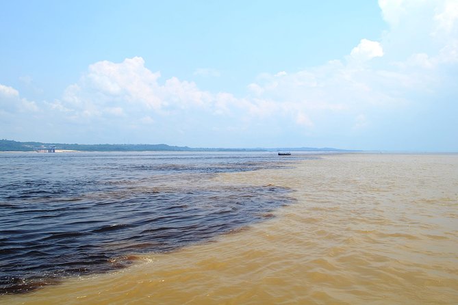 Amazon Negro River Half-Day Expedition Tour