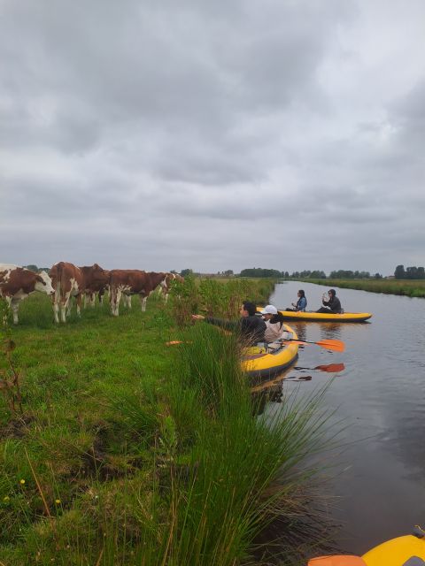 Amsterdam Countryside Bike and Kayak Tour - Activity Details