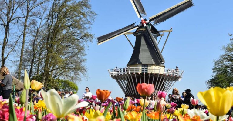 Amsterdam: Keukenhof & Dutch Countryside Small Group Tour