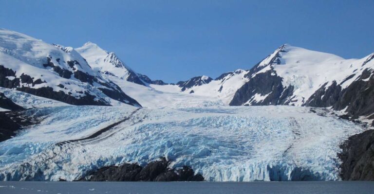 Anchorage: Glacier and Wildlife Explorer Cruise