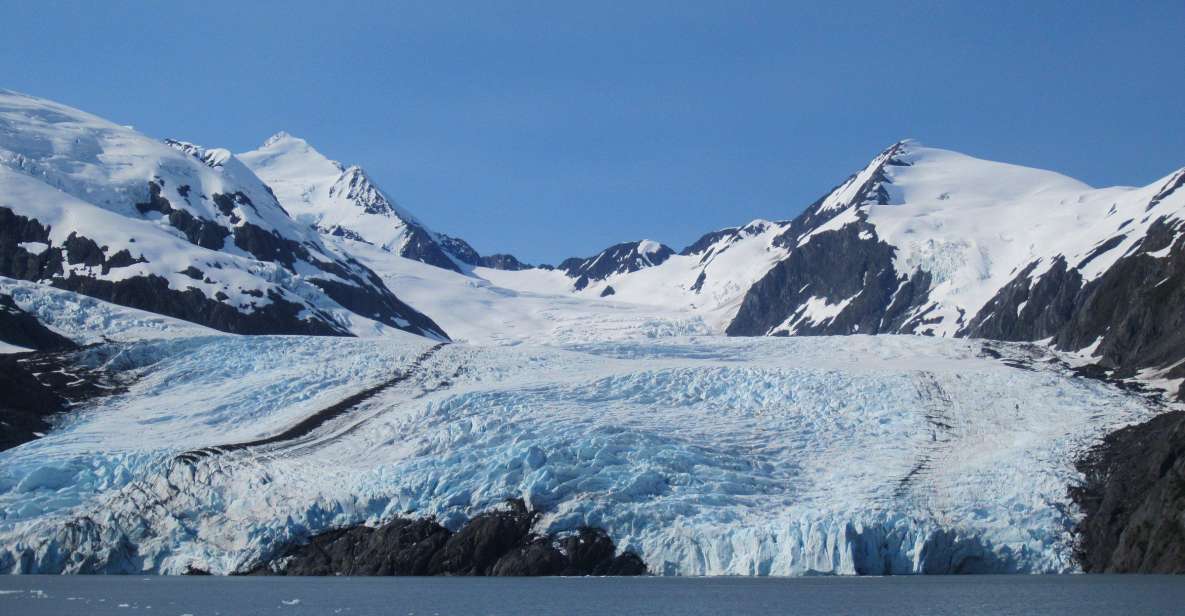 Anchorage: Glacier and Wildlife Explorer Cruise - Exciting Glacier Cruise Adventure