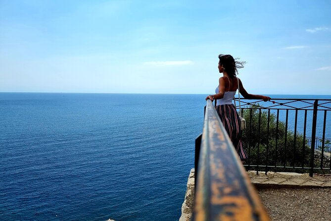 Beautiful Nice in a Private Walking Tour - Exploring the Old Town