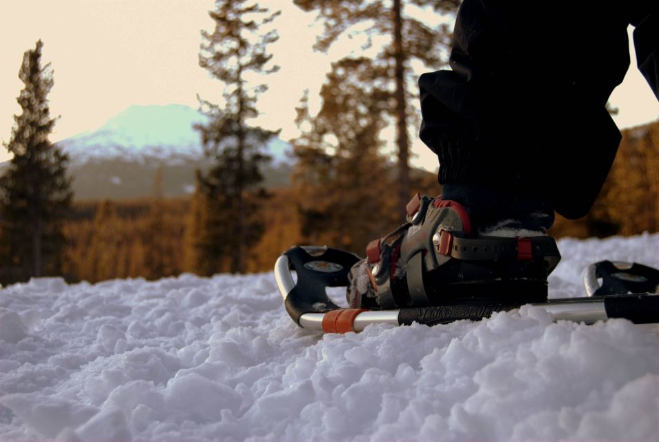 Bend: Half-Day Snowshoe Tour in the Cascade Mountain Range - Tour Experience