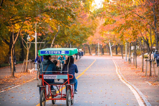 Best View Seoul Autumn Foliage Tour - Best Autumn Foliage Spots