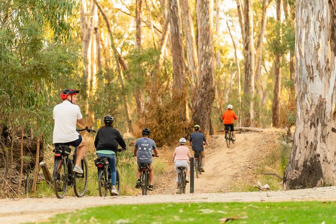 Bike to Winery Tour - Tour Highlights and Features