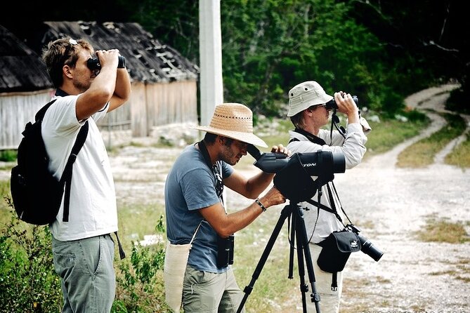 Birdwatching in Sian Kaan and Muyil Archaeological Site From Tulum