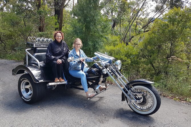 Blue Mountains 1-Hour Trike Tour of Three Sisters