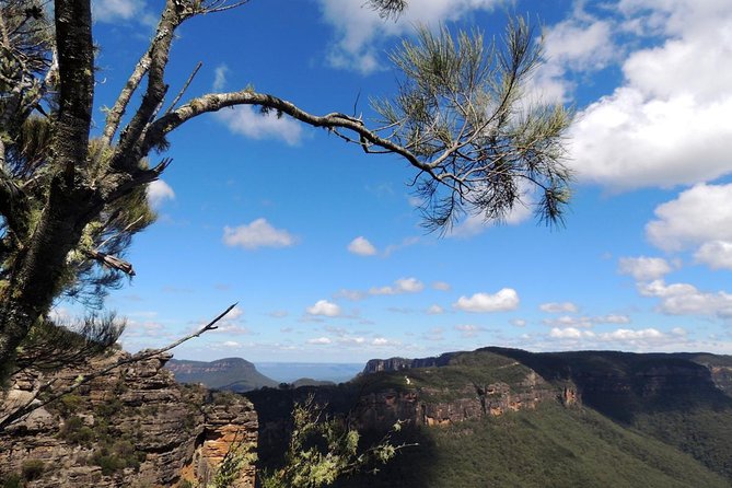 Blue Mountains Small-Group Insider Tour From Sydney