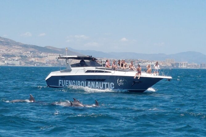 Boat Trip in Fuengirola, Dolphin Watching and Drinks - Tour Highlights