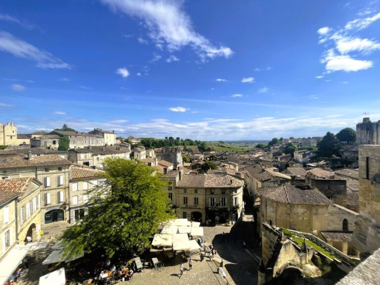 Bordeaux: St-Emilion Vineyards E-Bike Tour With Wine & Lunch