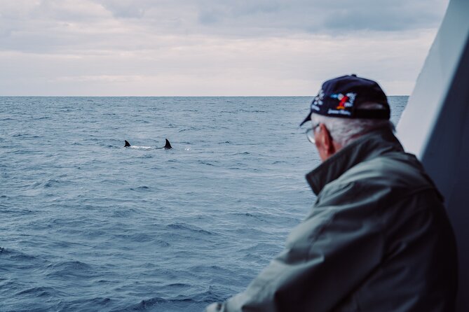 Bremer Canyon Killer Whale (Orca) Expedition