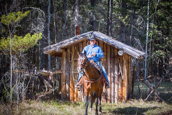 Buffalo Loop 1-Hour Horseback Trail Ride in Kananaskis