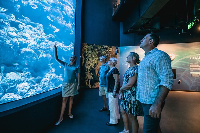 Cairns Aquarium by Twilight Tour and 3-Course Dinner