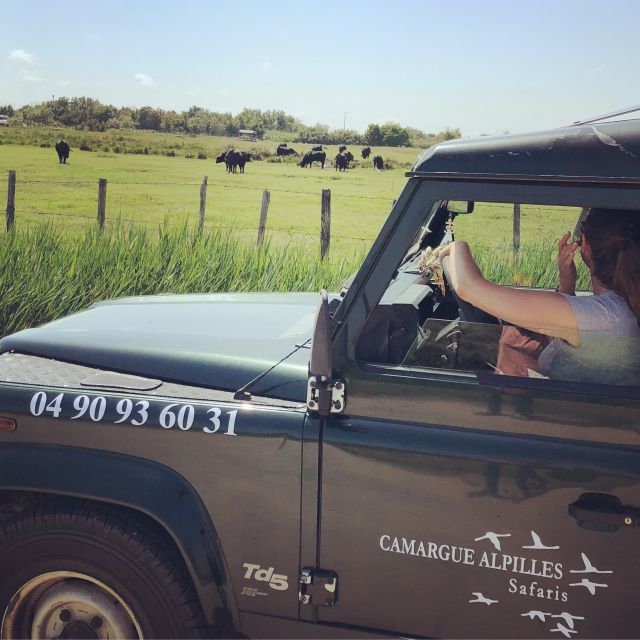 Camargue: Safari From Saintes-Maries-De-La-Mer