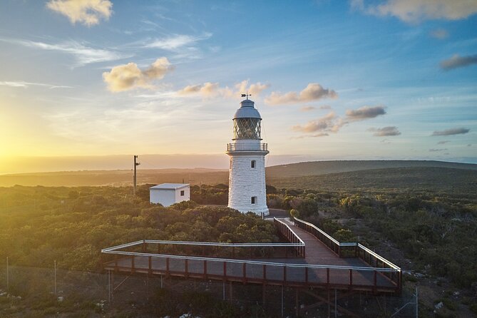 Cape Naturaliste Lighthouse Fully-guided Tour - What to Expect on the Tour