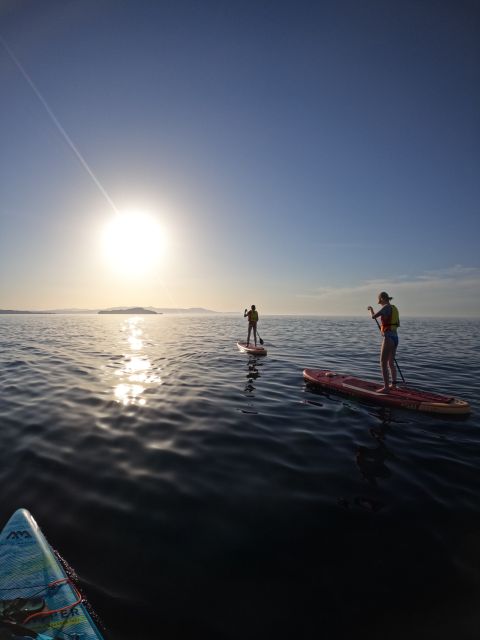 Chania: Stand-up Paddleboard Coastal Sunset Experience