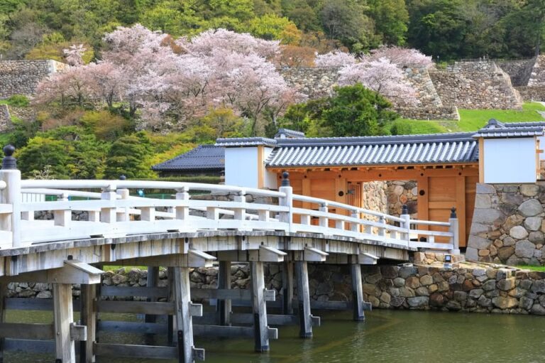 Chiyoda Imperial Palace Walking Tour