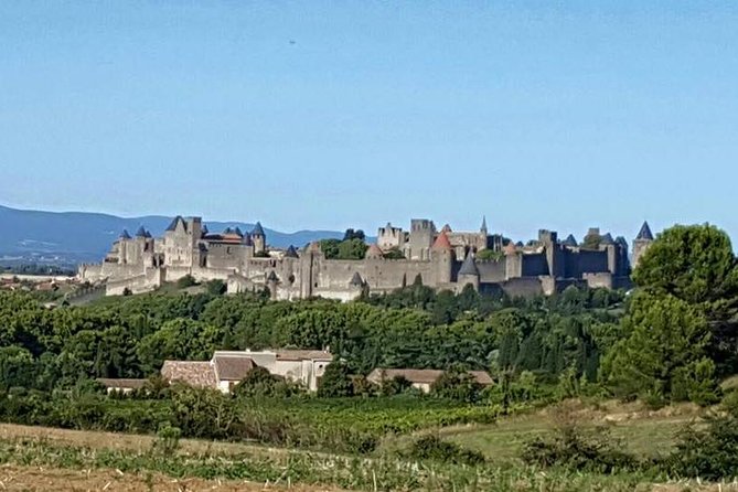 Cité De Carcassonne and Canal Du Midi Private Half Day Tour From Toulouse - Itinerary Details