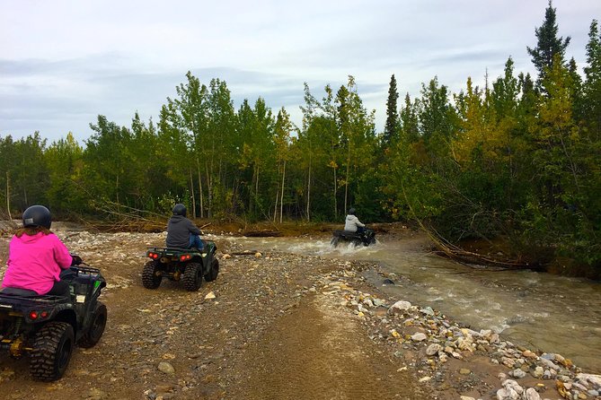 Classic ATV Adventure With Back Country Dining - Experience Details