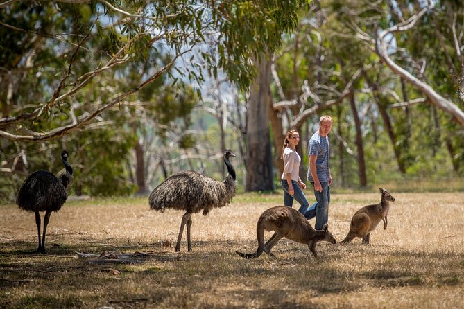 Cleland Hike and Wildlife Day Tour