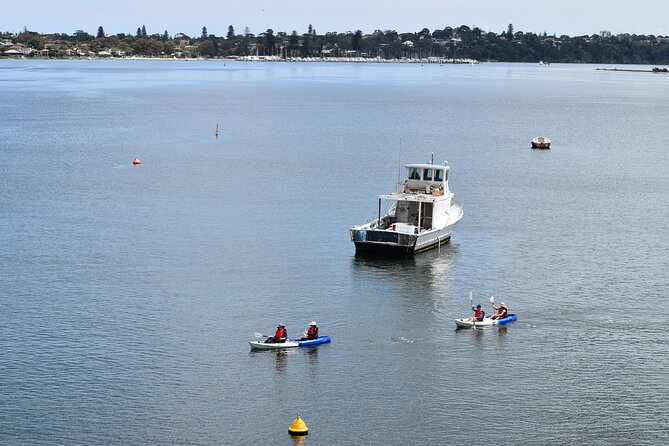 Cliffs and Caves Kayak Tour in Swan River - Tour Highlights and Inclusions