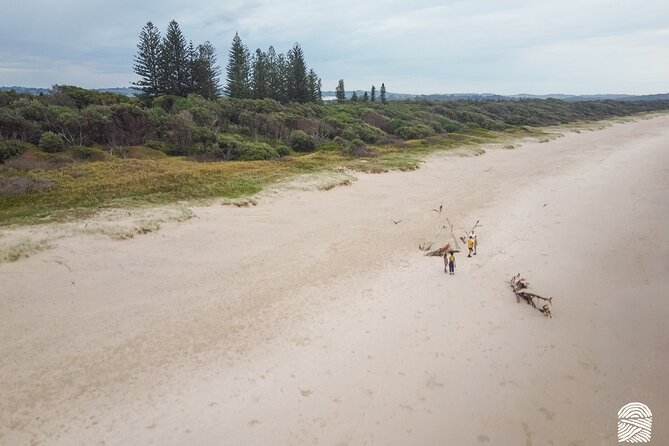 Coastal Nature and Waterfall Experience - Exploring Byron Bays Coastline