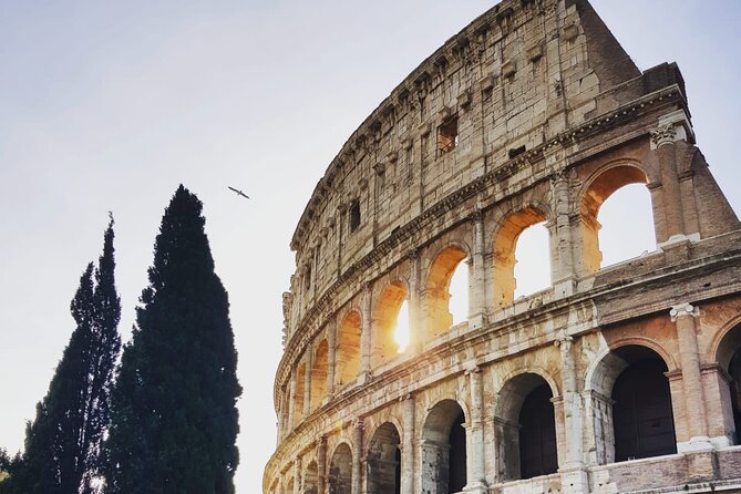 Colosseum Guided Tour