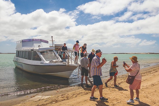 Coorong 3.5-Hour Discovery Cruise - Discover Coorongs Hidden Gem