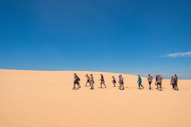 Coorong 6-Hour Adventure Cruise - Overview of the Coorong Cruise