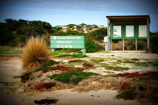 Coorong Discovery Cruise and Tour