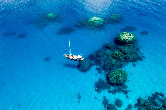 Coral Sea Dreaming: Overnight Dive, Snorkel & Sail From Cairns - Experience the Coral Sea